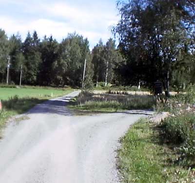 Y-Risteys on vieh�tt�v�n mets�inen.